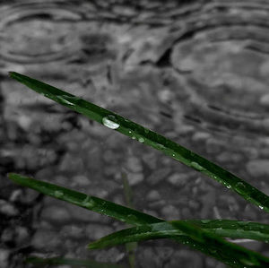 Meet your Posher, Alejandro